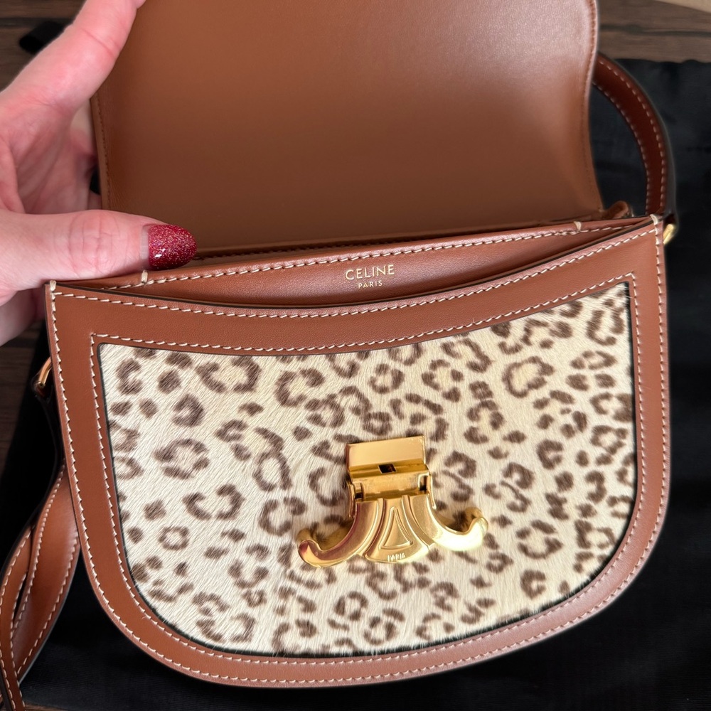 Celine Clea Limited Edition Leopard Print Pony Hair Calfskin Crossbody Bag - Picture 4 of 10